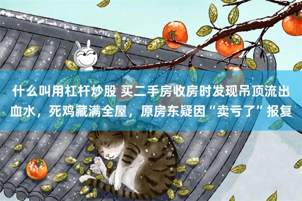 什么叫用杠杆炒股 买二手房收房时发现吊顶流出血水，死鸡藏满全屋，原房东疑因“卖亏了”报复