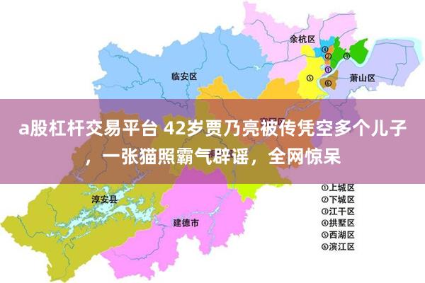 a股杠杆交易平台 42岁贾乃亮被传凭空多个儿子，一张猫照霸气辟谣，全网惊呆